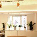 성가한의원 | 부천시 원미구 한의원 행복한의원 진료시간 접근성 이용후기