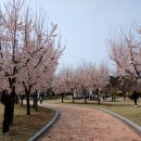 경북 경산시 용성면 (용산.삼성현 역사문화공원) 산행과 탐방 이미지