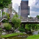 서울용답초등학교 이미지