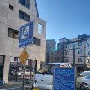 손길 | 고덕애견미용 포근한손길에서 미용한 후기