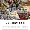 한우리정보문화센터(옥상) | [파주 운정 스타필드 빌리지] 실내 애견동반 정보, 펫라운지 위치