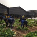 청춘농장 이미지