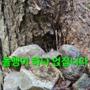 엉엉 흑흑 백두대간 답사산행.131 (2차 단도리) 이미지