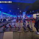 뽀빠이 올리브 헬스클럽 이미지