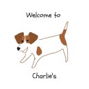 웰컴부산 이미지