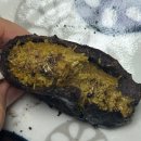 인영농장 | 🥃ㅏ🍸ㅓ🍺ㅑ