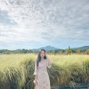 온천천시민공원 백일홍 | 서울가볼만한곳_9월축제 양주 천만송이 천일홍축제,나리공원 백일홍축제후기 ( 양주가볼만한곳 추천)
