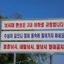 노진낚시터 이미지