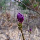 동민농장 이미지