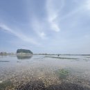 GS25교문창조점 | 성산일출봉 조개잡이