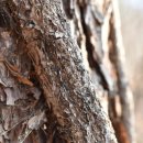 송담1로 이미지