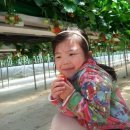 정후농장 이미지