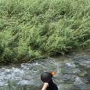 계곡펜션 이미지