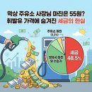중동주유소 | 막상 주유소 사장님 마진은 55원? 휘발류 가격에 숨겨진 세금의 현실
