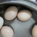 두원농장 이미지