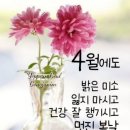 🍒 4월4일 화요일 헤드 라인 뉴스 입니다 이미지