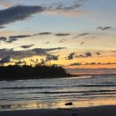 플러피 홀리데이 이미지