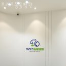 브리즈 동물병원 | 인천 당하동 동물병원 브리즈동물병원 위치 오는길 후기