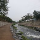 낙동강변로1-2 이미지