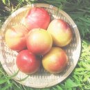 국수천천히 이미지