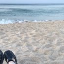 GS25경포윌점 이미지