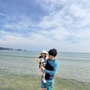 남애3리 해수욕장 화장실 네이버블로그
