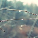 비온후풍경 이미지