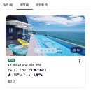 세븐일레븐 금천롯데타워점 | 부산 해운대 <L7 해운대 바이 롯데호텔> 스탠드 퀸 타워뷰 호캉스 수영장 조식 이용후기