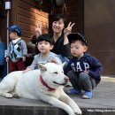 다연펜션 이미지