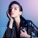 dua lipa - blow your mind ~~^^ 이미지
