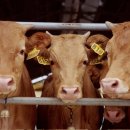 한구농장 이미지