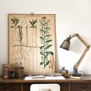 보타니칼 이미지