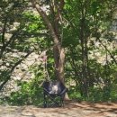 무지개 서는 마을 이미지