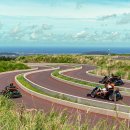 신화농장 이미지