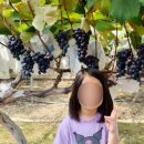 쏠티 어린이집 이미지