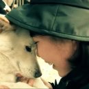 해경목장 이미지