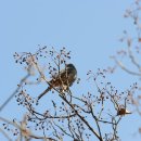 진양여관 이미지