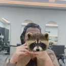 광주 미용실 , 피어나U