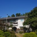 씨엔화이트 이미지