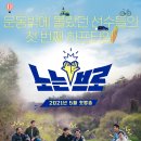 브로 카카오 검색결과