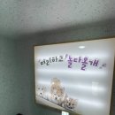 놀다올개 이미지