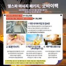 엘스파 네이버블로그