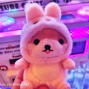 토이포이 이미지