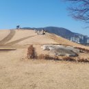 22.왕가(王家)의 언덕 - 김해 대성동고분군 이미지