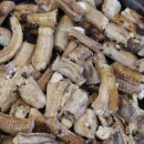 2호선 벡스코역 8번출구 이미지