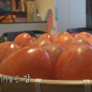 홍시사이다