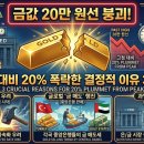 원선1로 | "금값 20만 원선 붕괴!" 고점 대비 20% 폭락한 결정적 이유 3가지