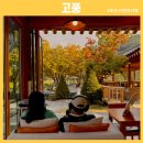 삼곡 | 서울근교 가족드라이브로 추천하는 포천 신북면 한옥 LP카페 고풍 솔직후기