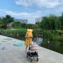 베플파트너스 | 오이스터 유모차 베플에서 보고 구매한 후기