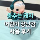 신나는 음악과 함께 춤추는 DJ 돼지 어린이 장난감 사용 후기